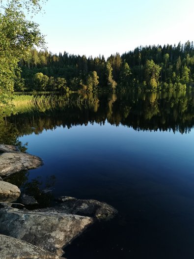 Aktiviteter på Gåsnäs park i Nordingrå